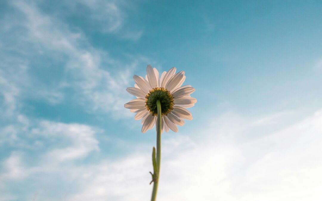 Healthy Coping Skills for Dealing with Challenging Times