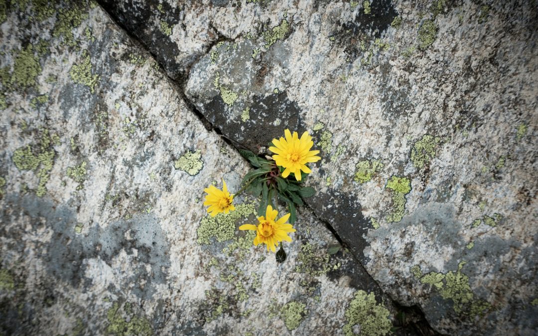 Finding Meaning of Pain and Suffering
